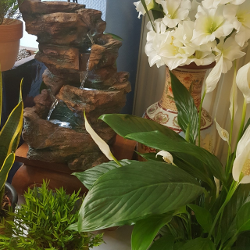 Buhlan Fußreflexzonen- und Beinmassage